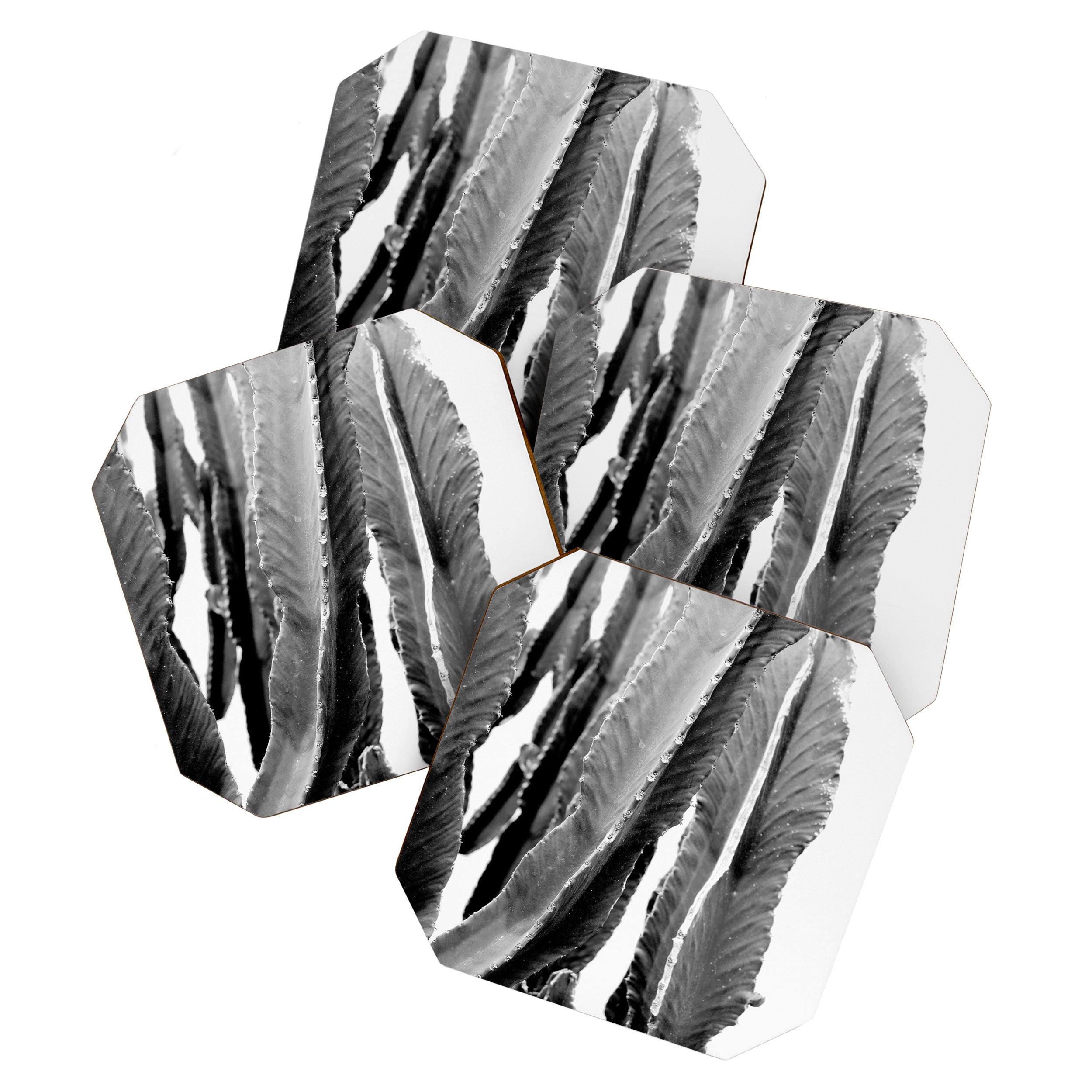 Boho Cactus Coaster Gallery Image 1