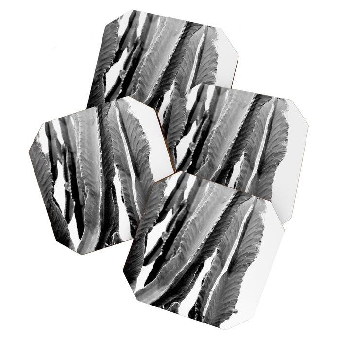 Boho Cactus Coaster Gallery Image 1