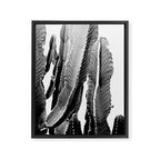Boho Cactus Framed Canvas Print Gallery Image 6