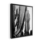 Boho Cactus Framed Canvas Print Gallery Image 2