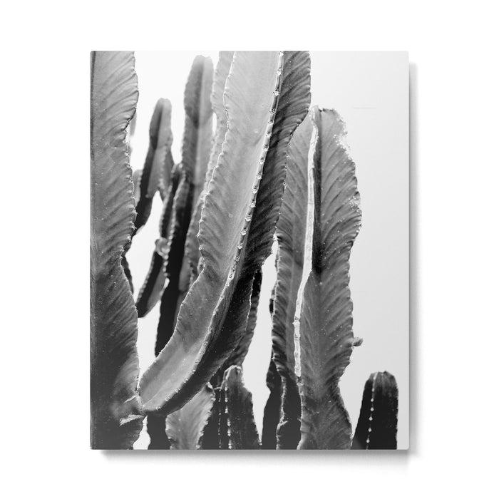 Boho Cactus Metal Print Gallery Image 1