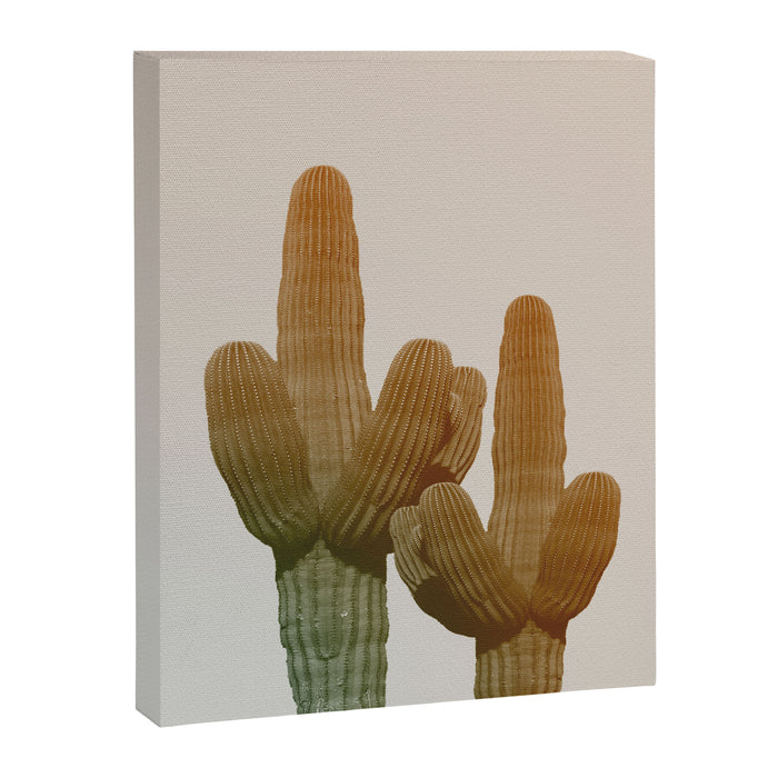 Boho Cactus Photography Canvas Print Gallery Image 1