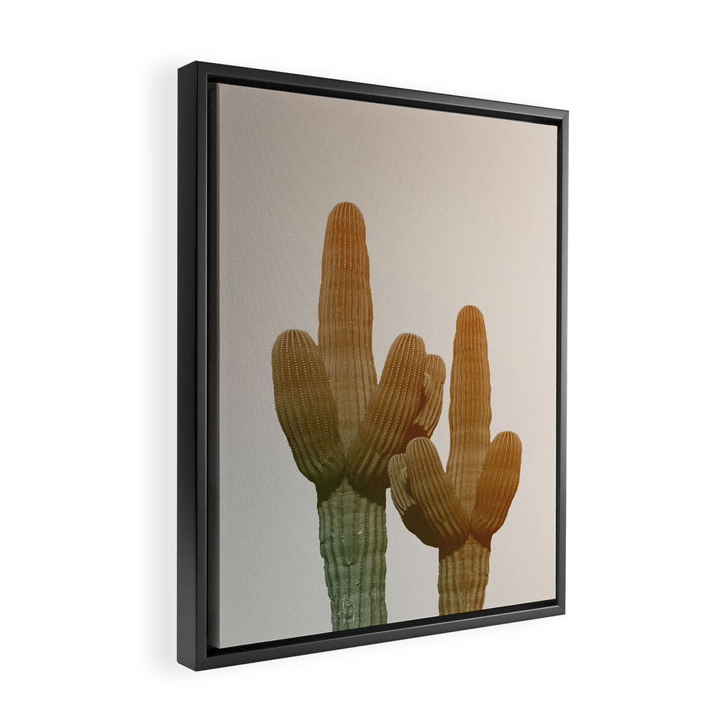 Boho Cactus Photography Framed Canvas Print Gallery Image 2
