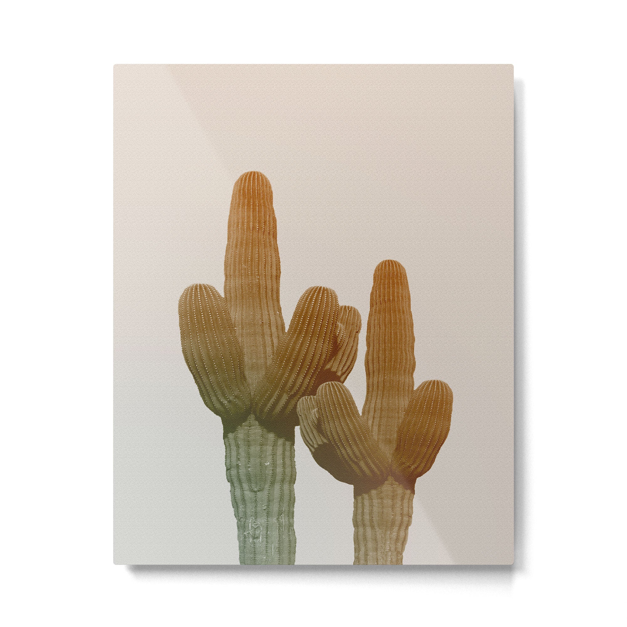Boho Cactus Photography Metal Print Gallery Image 4