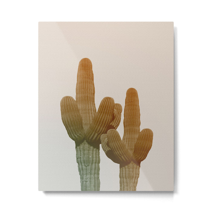Boho Cactus Photography Metal Print Gallery Image 1