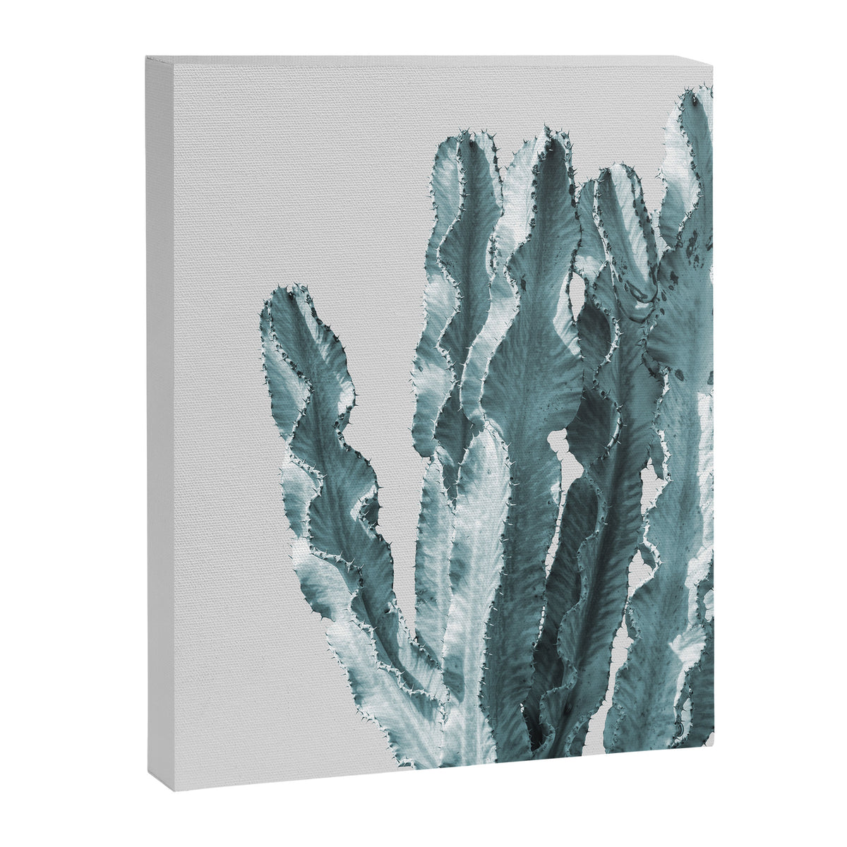 Cacti in Blue Canvas Print Gallery Image 6