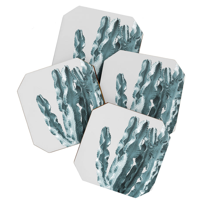 Cacti in Blue Coaster Gallery Image 1