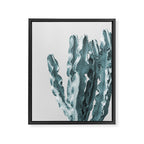 Cacti in Blue Framed Canvas Print Gallery Image 6