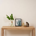 Cacti in Blue Framed Canvas Print Gallery Image 4