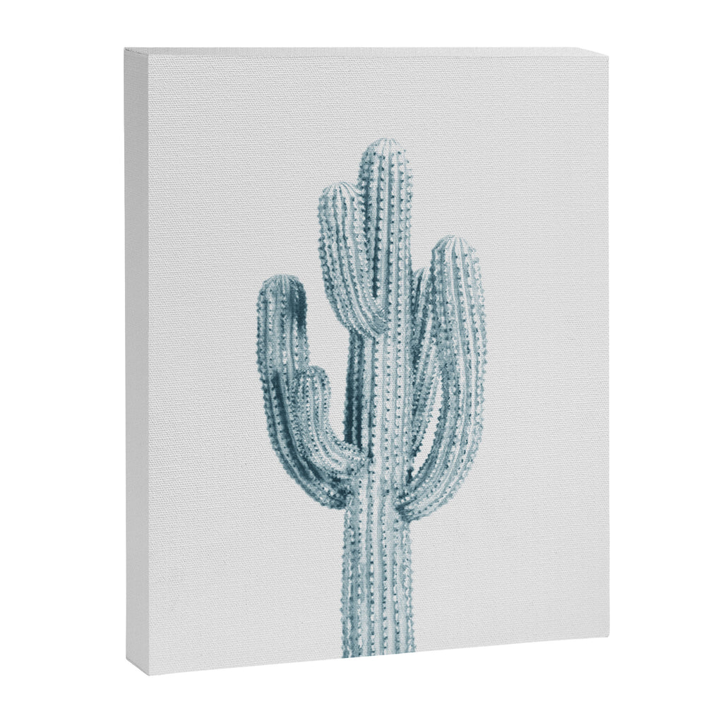 Cactus in Blue, Modern Cacti Canvas Print Gallery Image 6