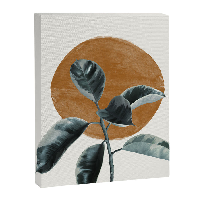 Fiscus by the sun Canvas Print Gallery Image 1