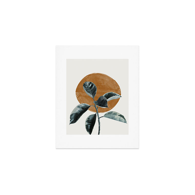 Fiscus by the sun Art Print Gallery Image 1