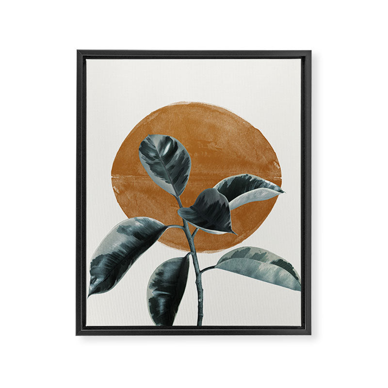 Fiscus by the sun Framed Canvas Print Gallery Image 6