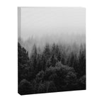 Forest, Black and White Canvas Print Gallery Image 6