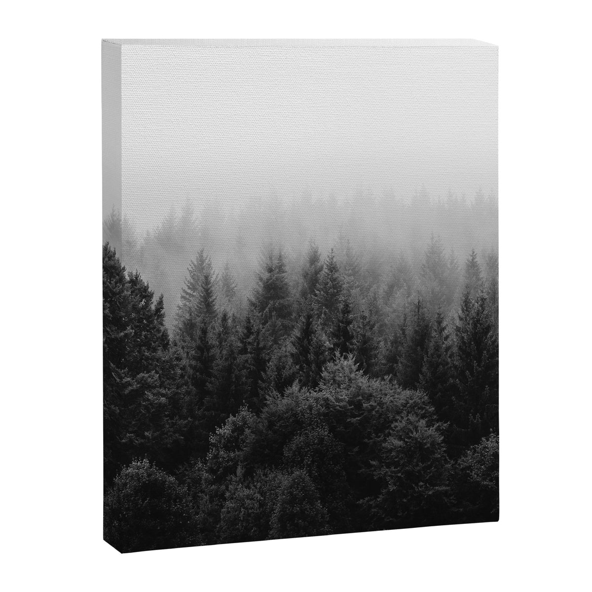 Forest, Black and White Canvas Print Gallery Image 6