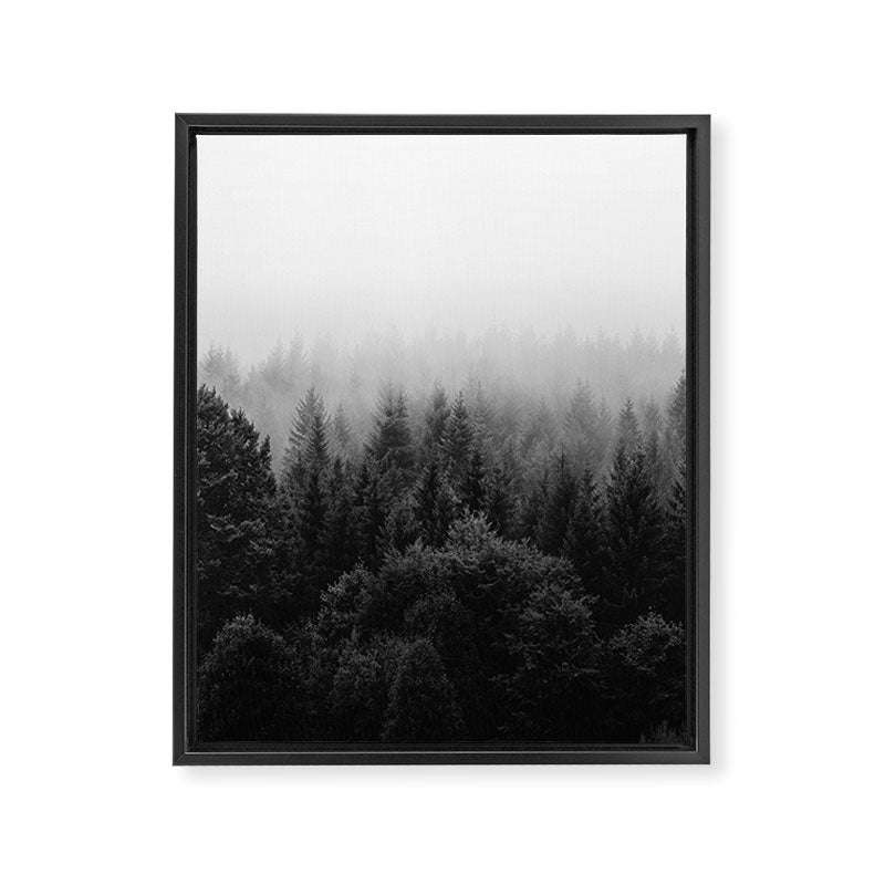 Forest, Black and White Framed Canvas Print Gallery Image 6