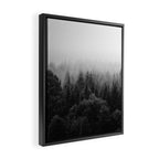Forest, Black and White Framed Canvas Print Gallery Image 2