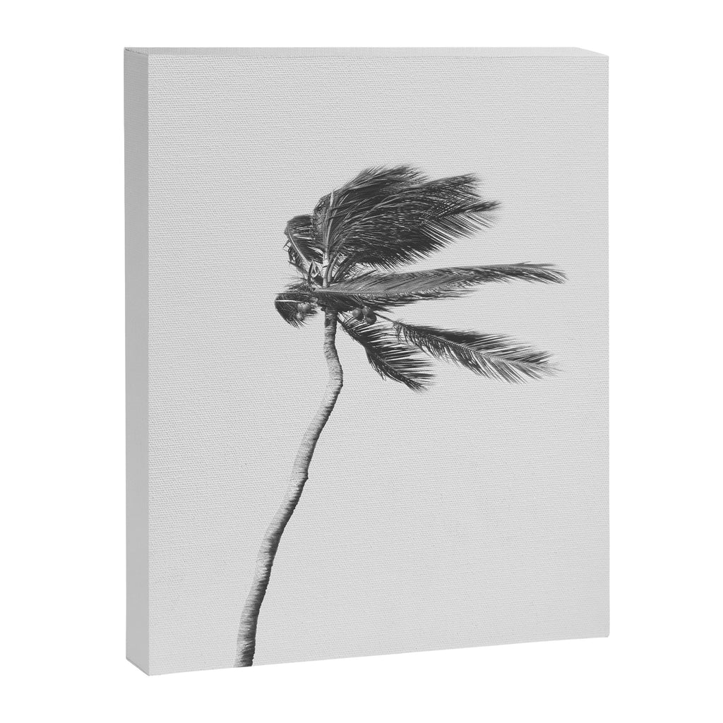 Grey Palm Tree Canvas Print Gallery Image 6
