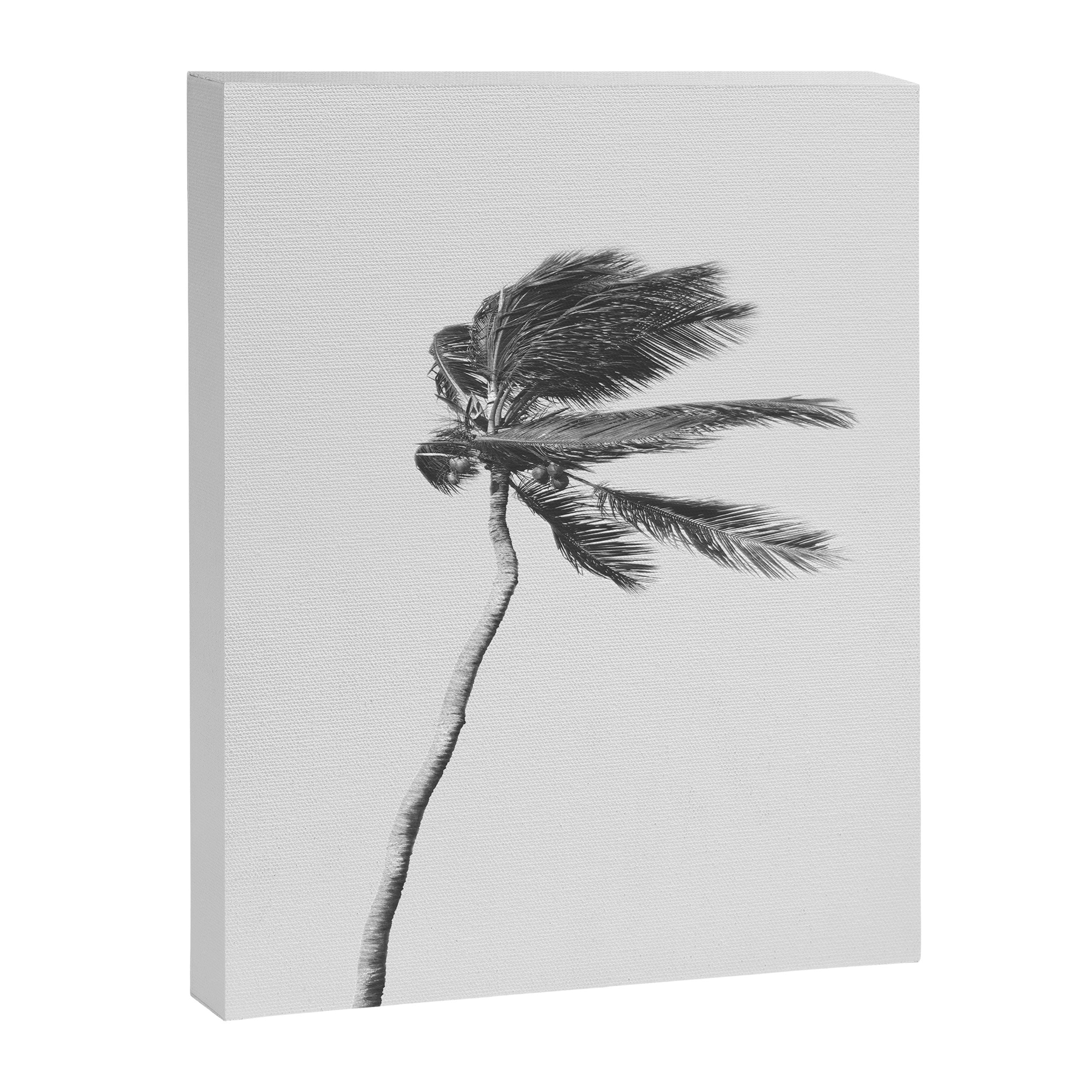 Grey Palm Tree Canvas Print Gallery Image 6