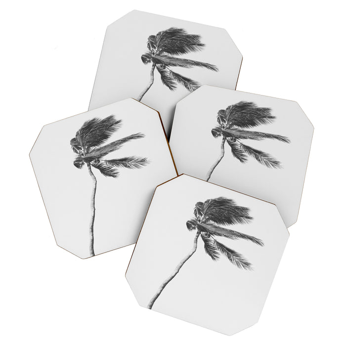 Grey Palm Tree Coaster Gallery Image 1