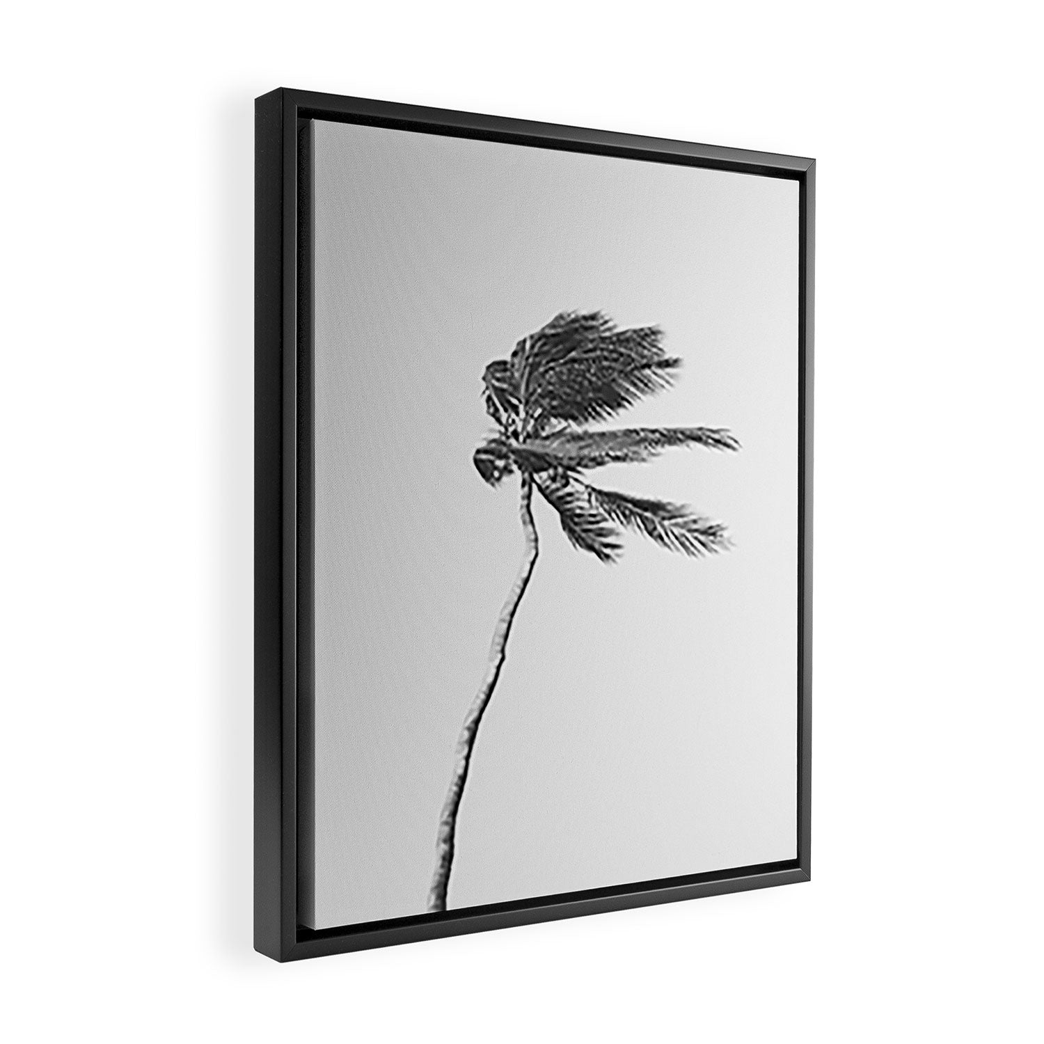 Grey Palm Tree Framed Canvas Print Gallery Image 2