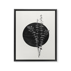 Nature Circle Art Framed Canvas Print Gallery Image 6