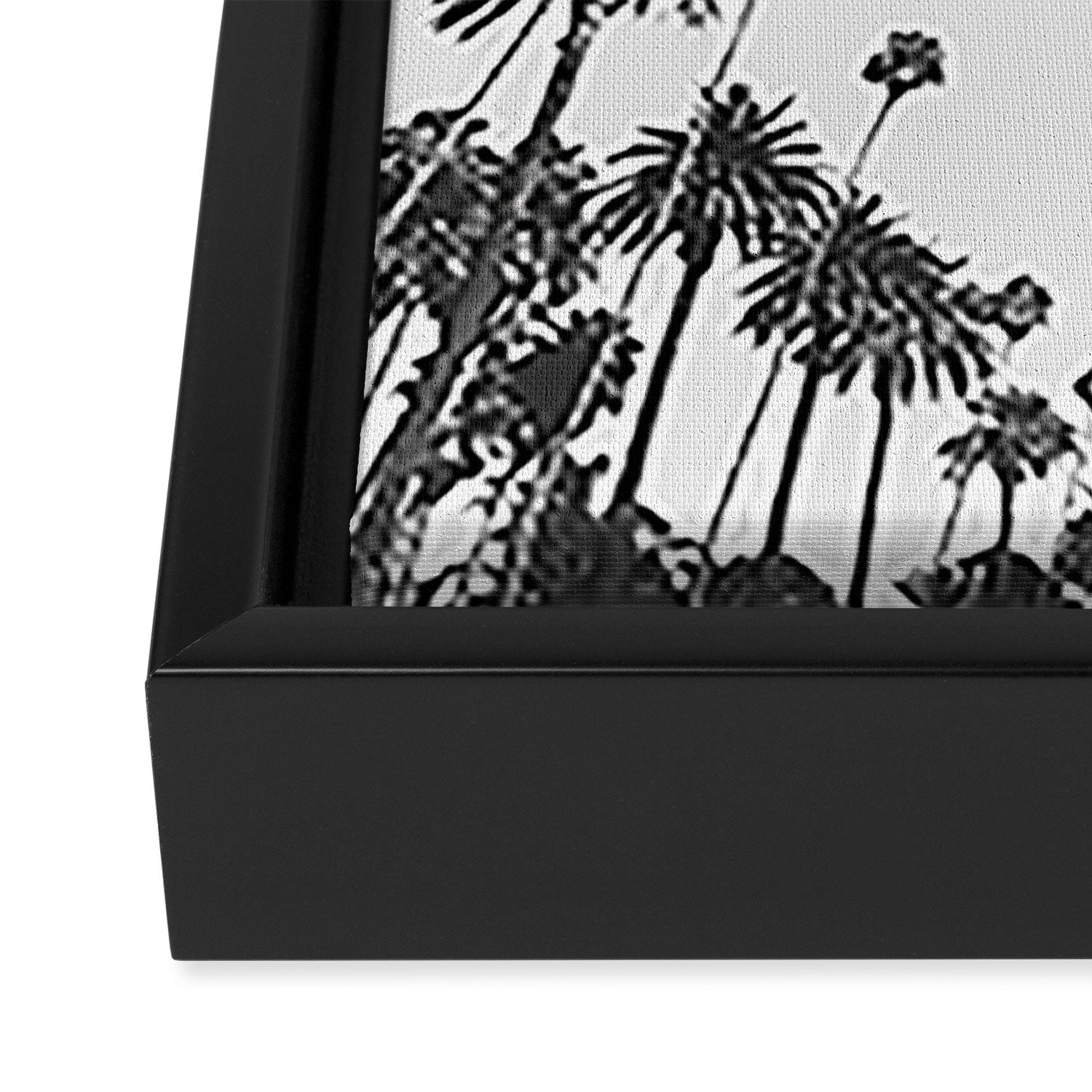Palm Spring California, Palms Framed Canvas Print Gallery Image 3