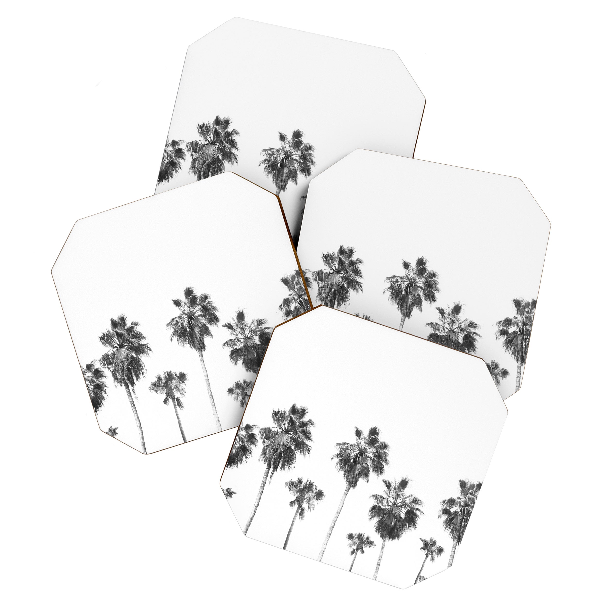 Palm Trees Coaster Gallery Image 1