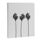 Palm Trees Canvas Print Gallery Image 6