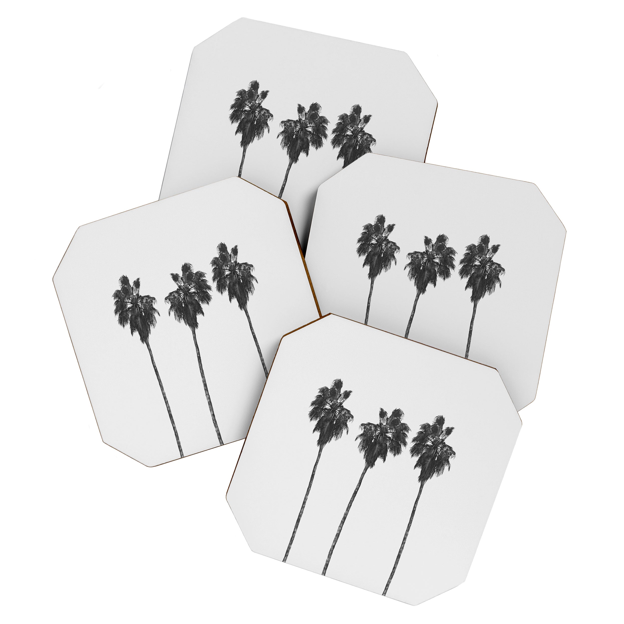 Palm Trees Coaster Gallery Image 1