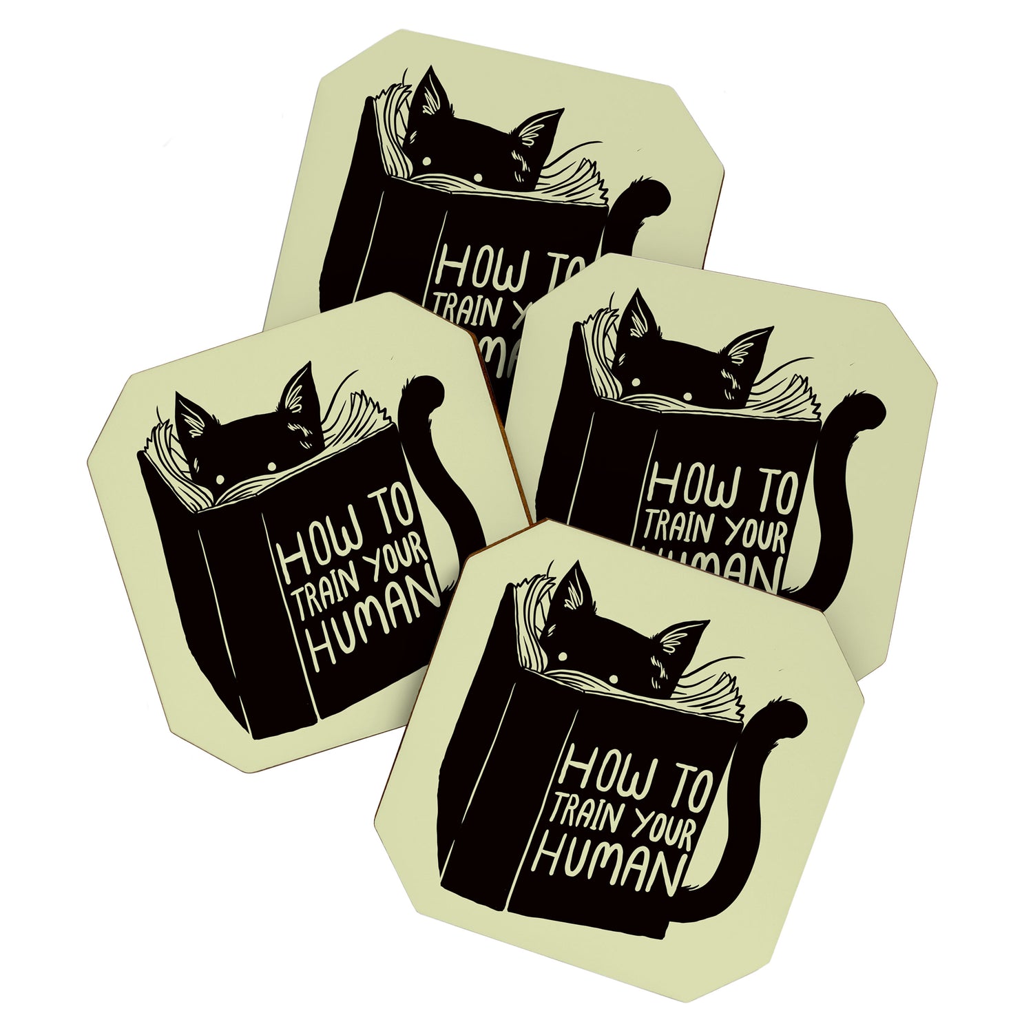 How To Train Your Human Coaster Gallery Image 1