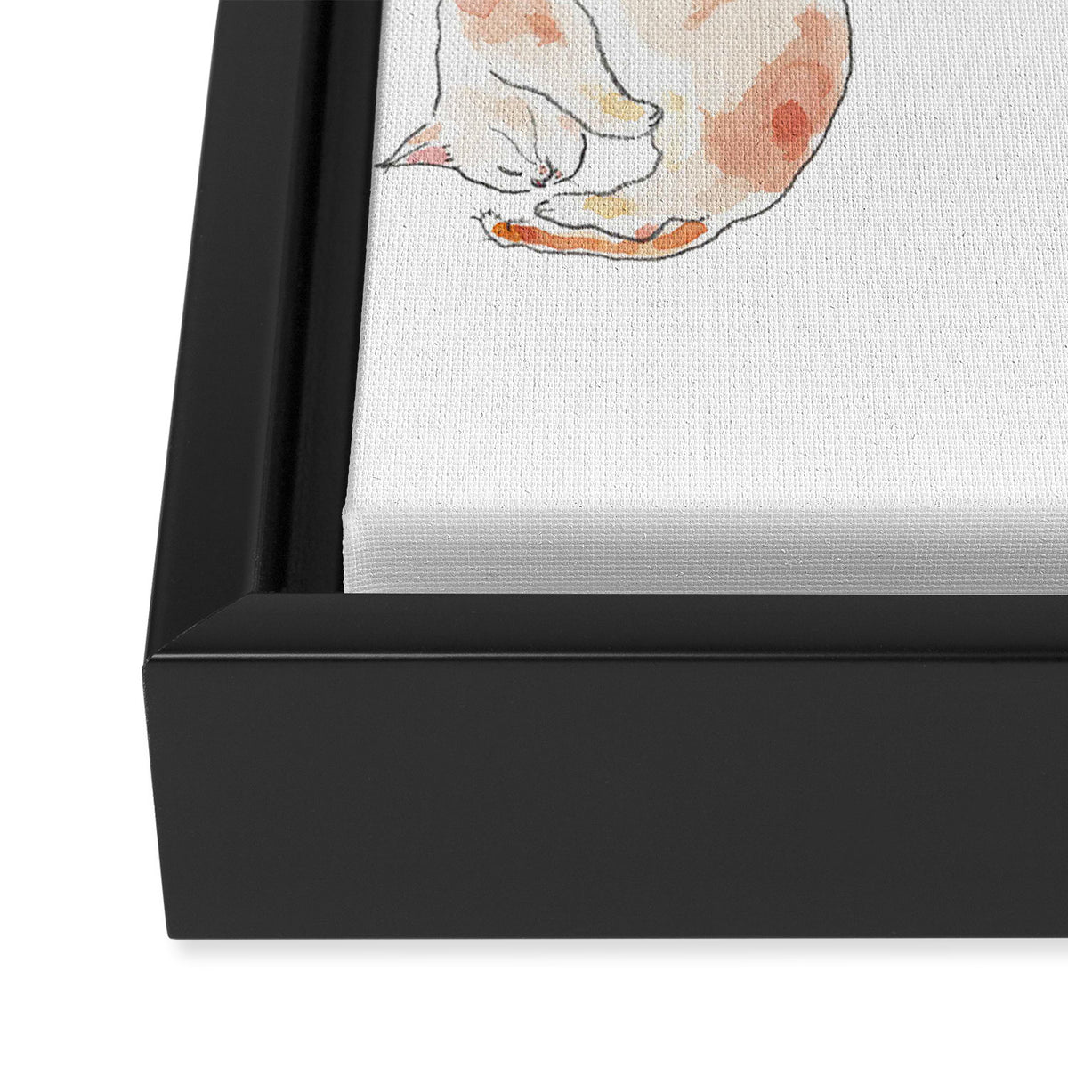 Ebinyanco -Shrimp Kitty- Framed Canvas Print Gallery Image 3