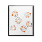 Ebinyanco -Shrimp Kitty- Framed Canvas Print Gallery Image 8