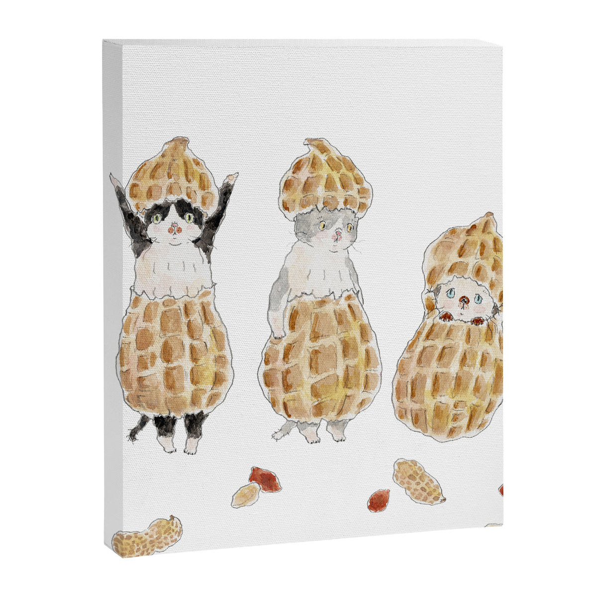 peanuts nyanco Canvas Print Gallery Image 8