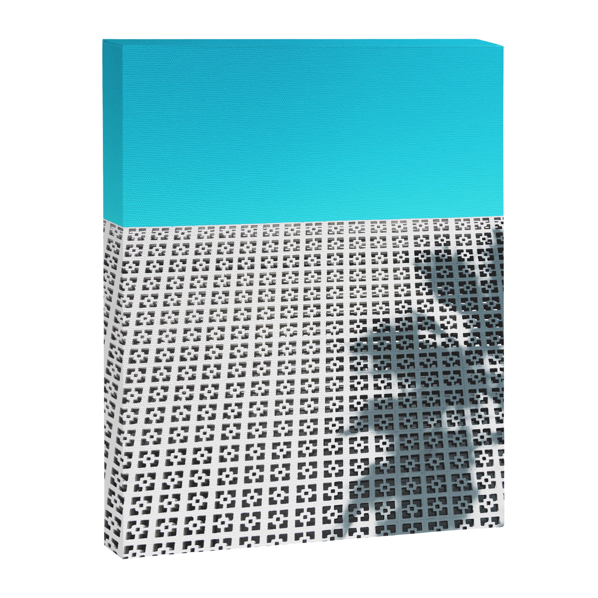 Parker Palm Springs with Palm Tree Shadow Canvas Print Gallery Image 6