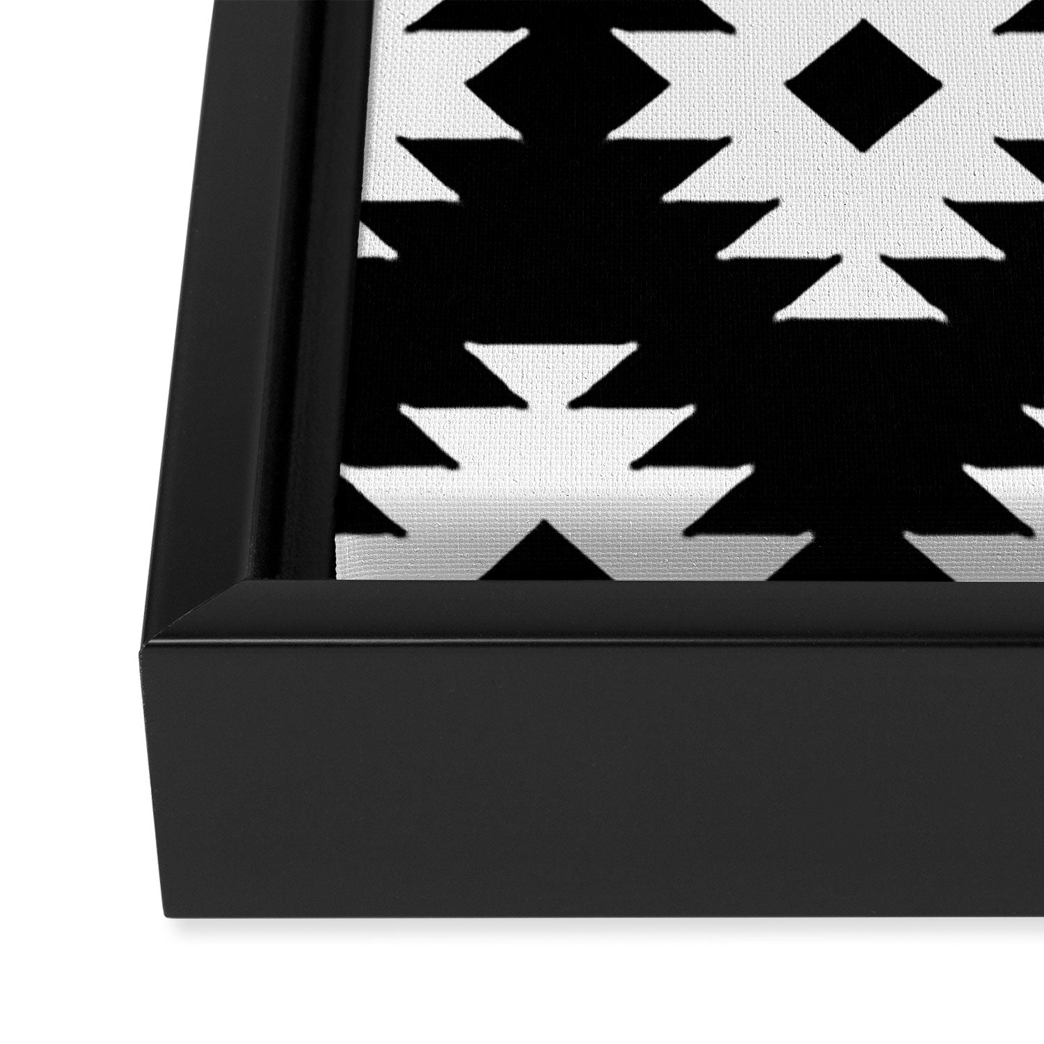 Southwestern  Black and White Framed Canvas Print Gallery Image 3