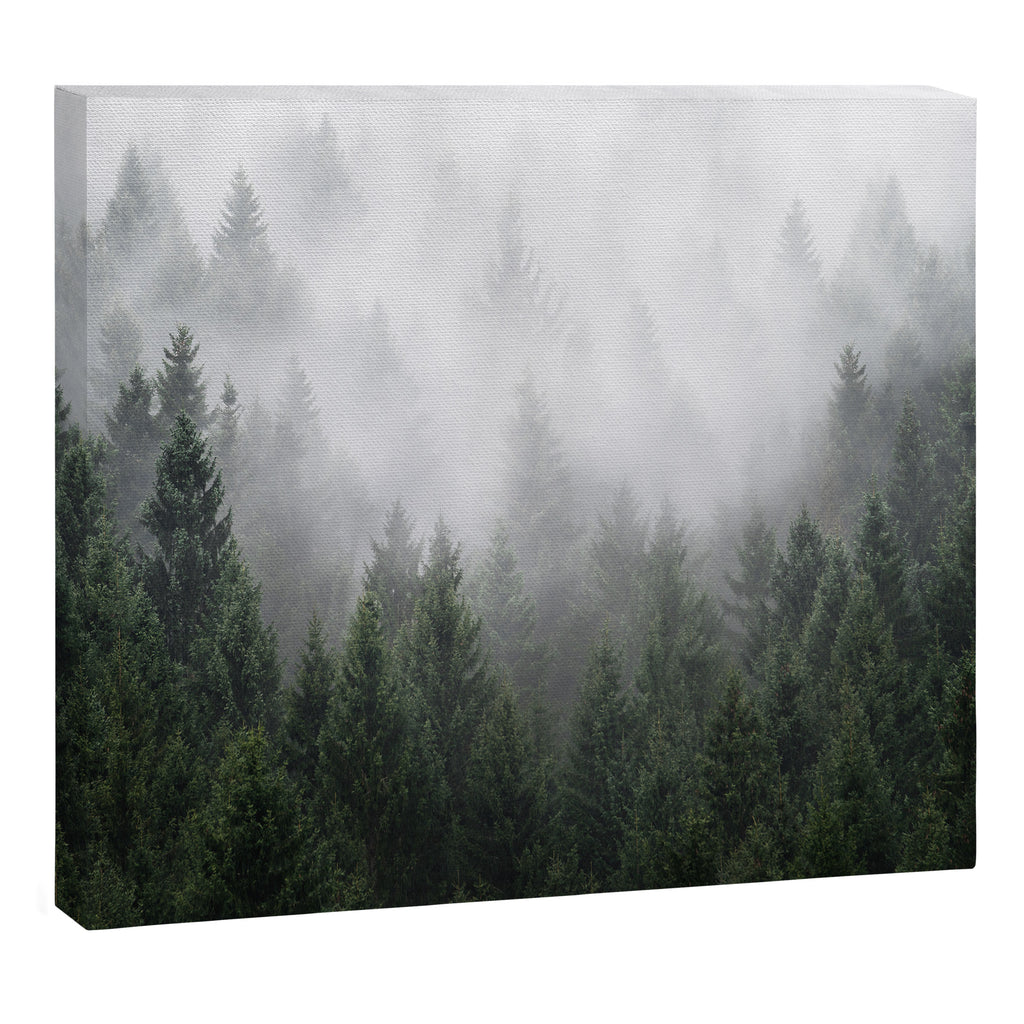 Home Is A Feeling Canvas Print Gallery Image 3