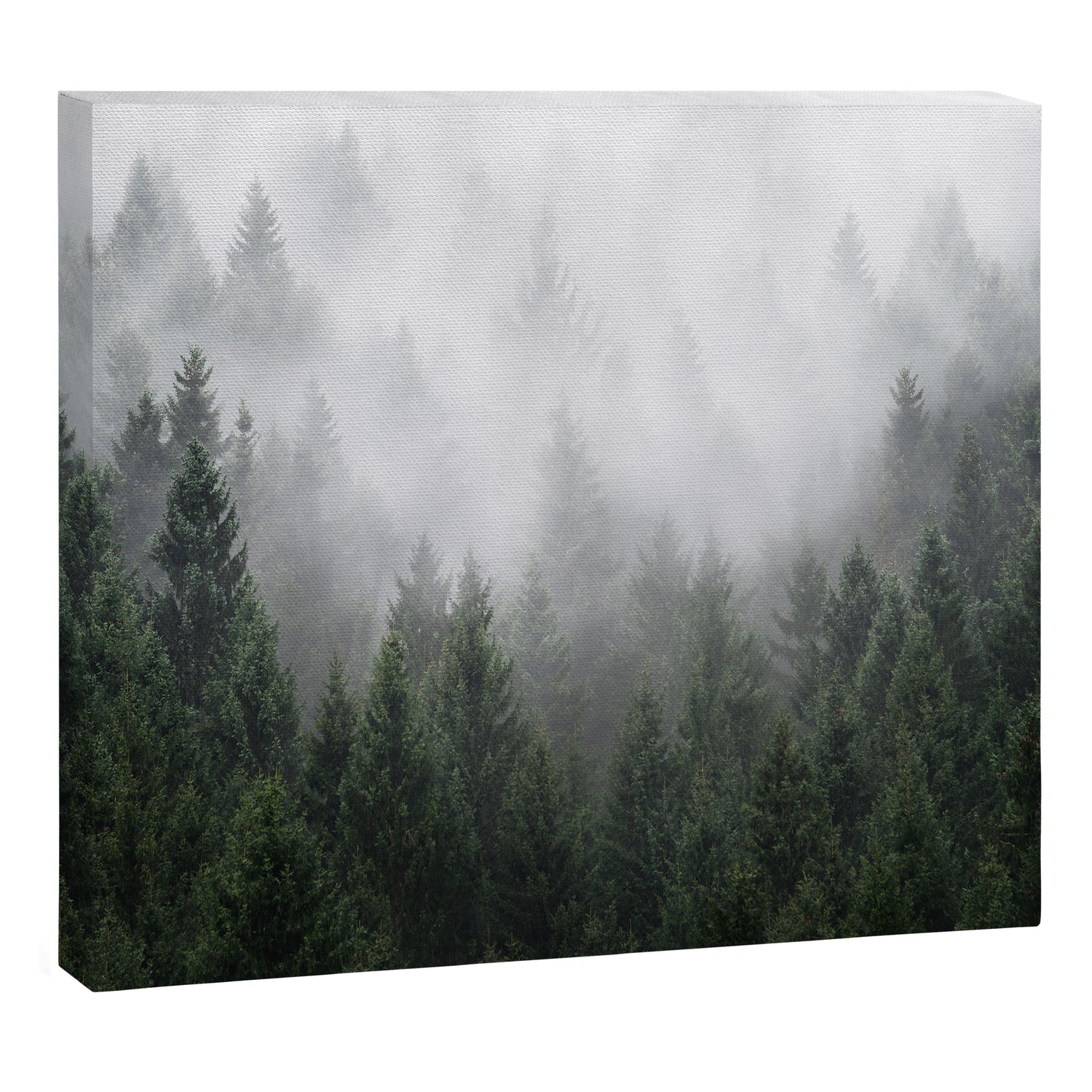 Home Is A Feeling Canvas Print Gallery Image 3