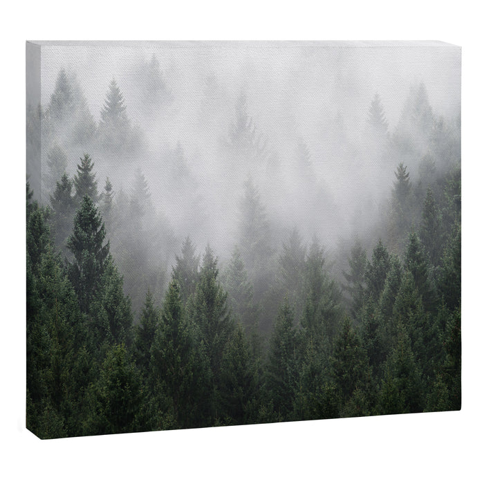 Home Is A Feeling Canvas Print Gallery Image 1