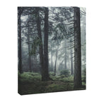Path Vibes Canvas Print Gallery Image 8