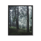 Path Vibes Framed Canvas Print Gallery Image 8