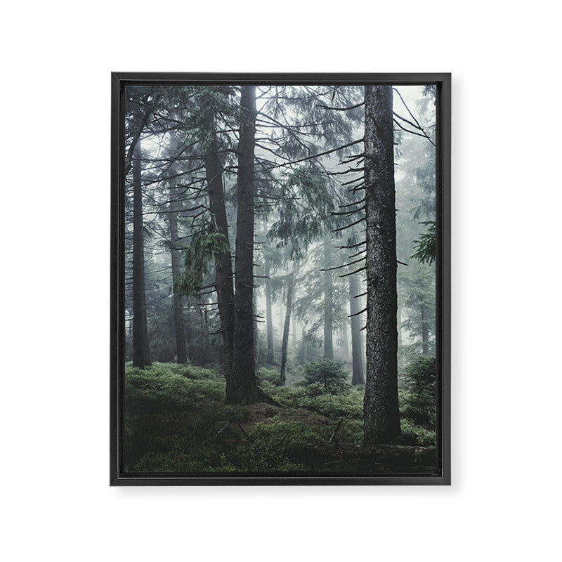 Path Vibes Framed Canvas Print Gallery Image 8