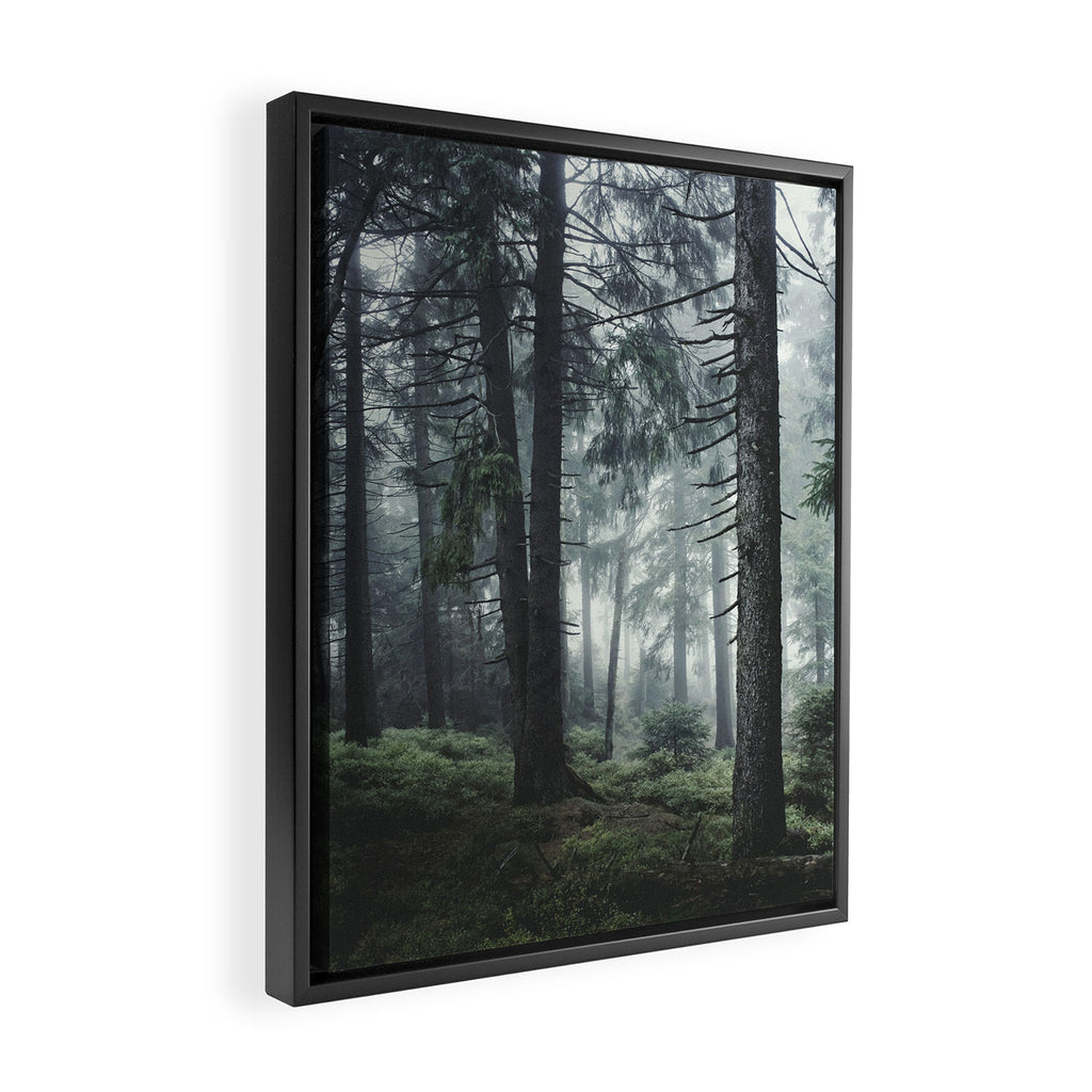 Path Vibes Framed Canvas Print Gallery Image 2