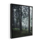 Path Vibes Framed Canvas Print Gallery Image 2