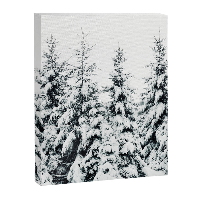 Snow Porn Canvas Print Gallery Image 1