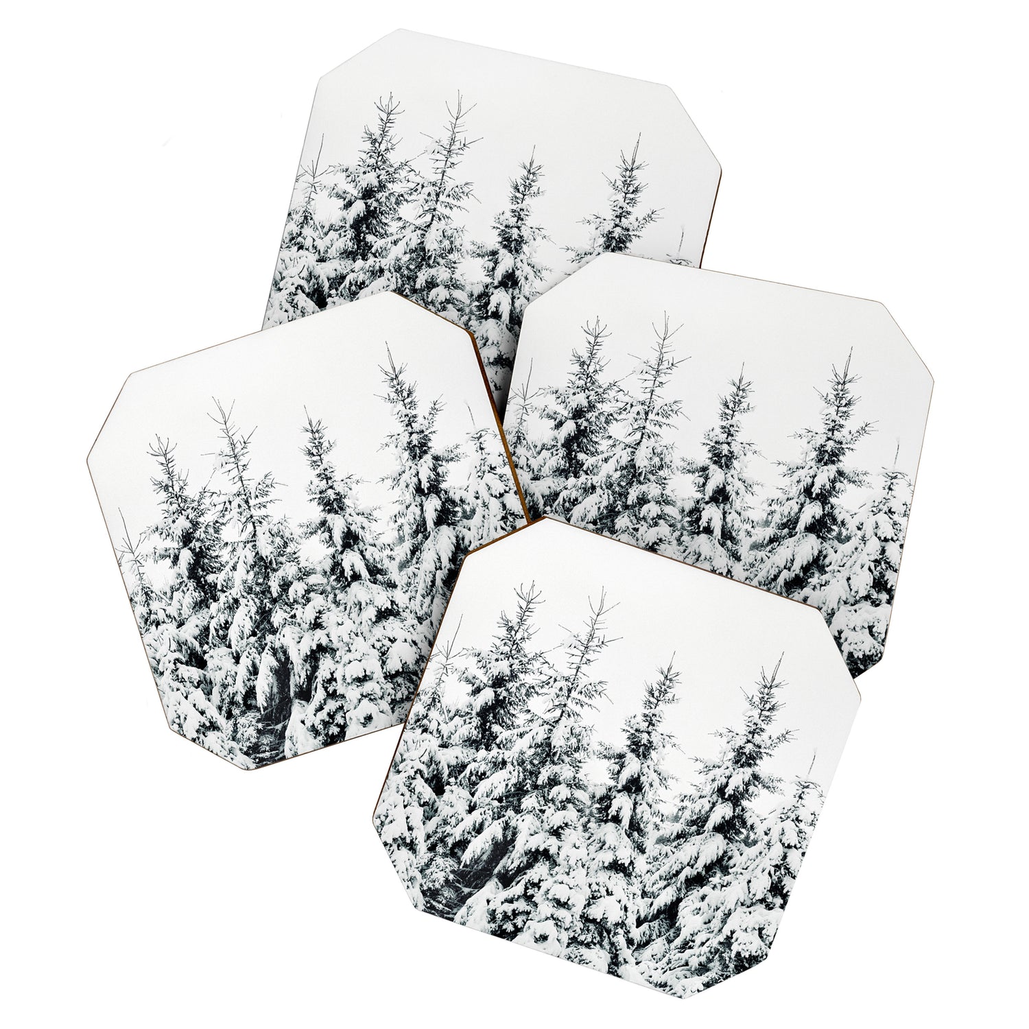 Snow Porn Coaster Gallery Image 1