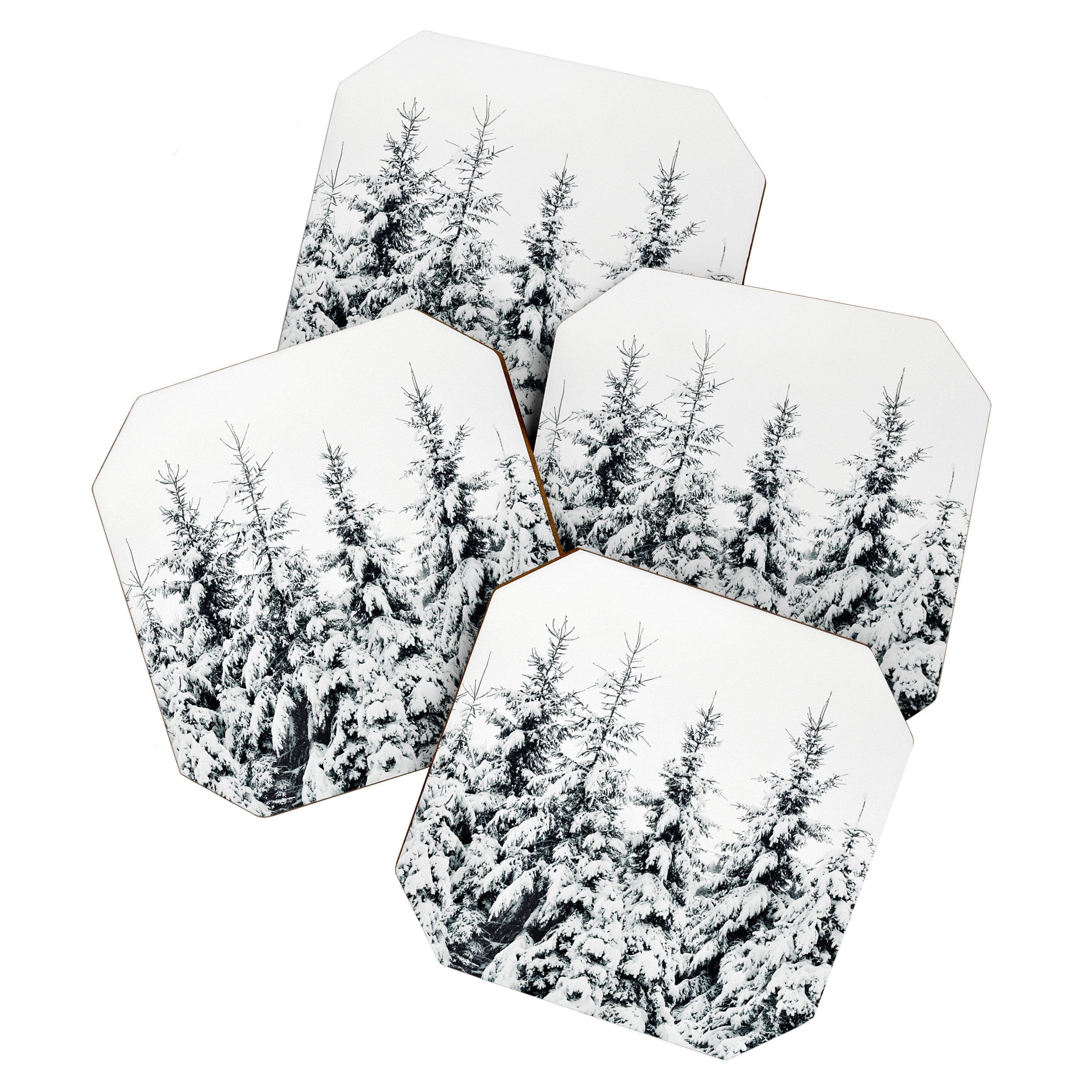 Snow Porn Coaster Gallery Image 1