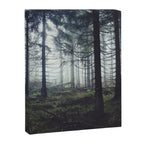 Through The Trees Canvas Print Gallery Image 8