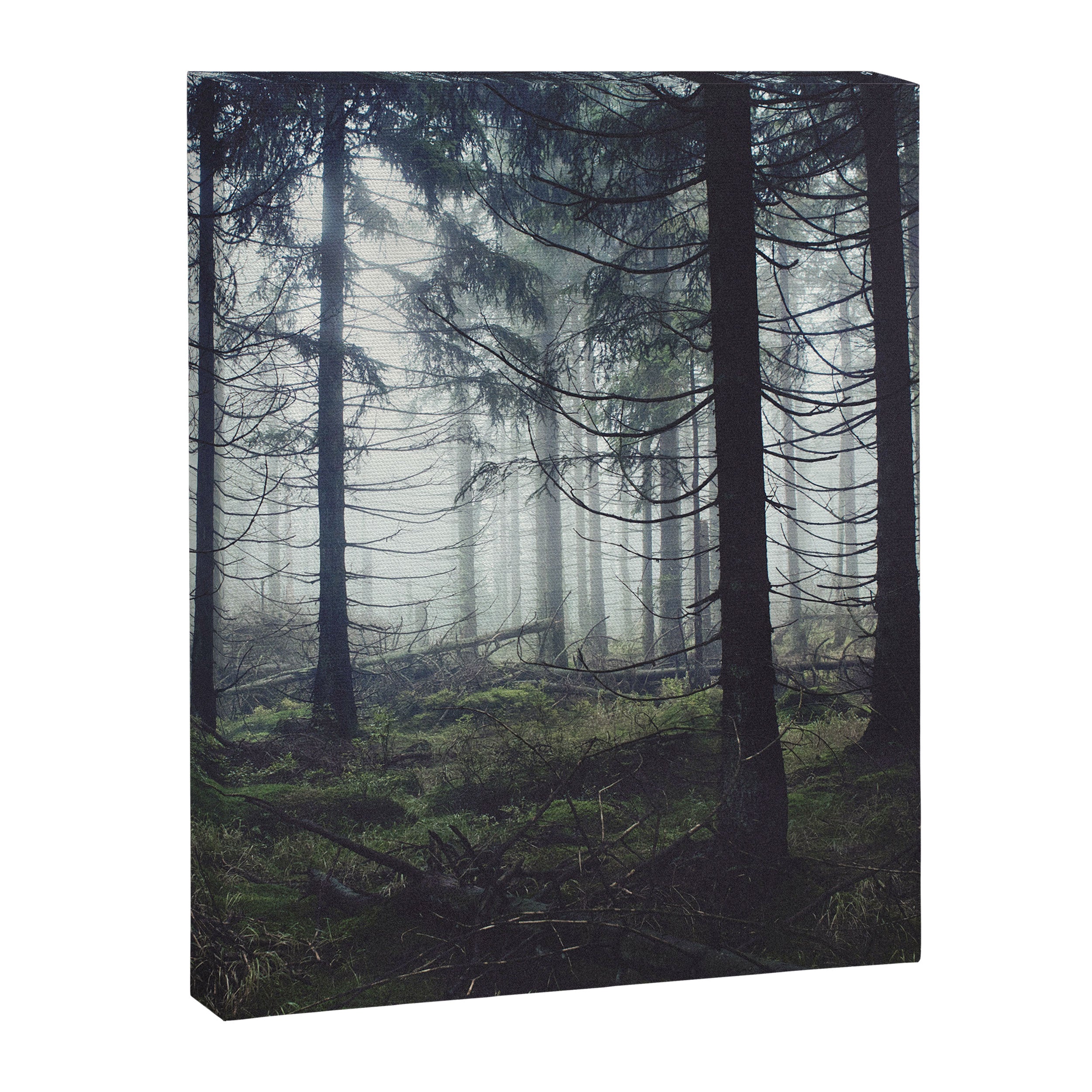Through The Trees Canvas Print Gallery Image 8