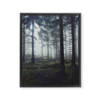 Through The Trees Framed Canvas Print Gallery Image 8
